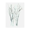 thumbnail image 1 of Trademark Fine Art 'Aquarelle Birches II' Canvas Art by Grace Popp, 1 of 3