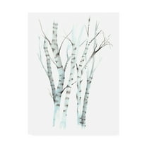 Trademark Fine Art 'Aquarelle Birches II' Canvas Art by Grace Popp