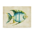 thumbnail image 1 of Trademark Fine Art 'Aquarium Fish I' Canvas Art by Chariklia Zarris, 1 of 1