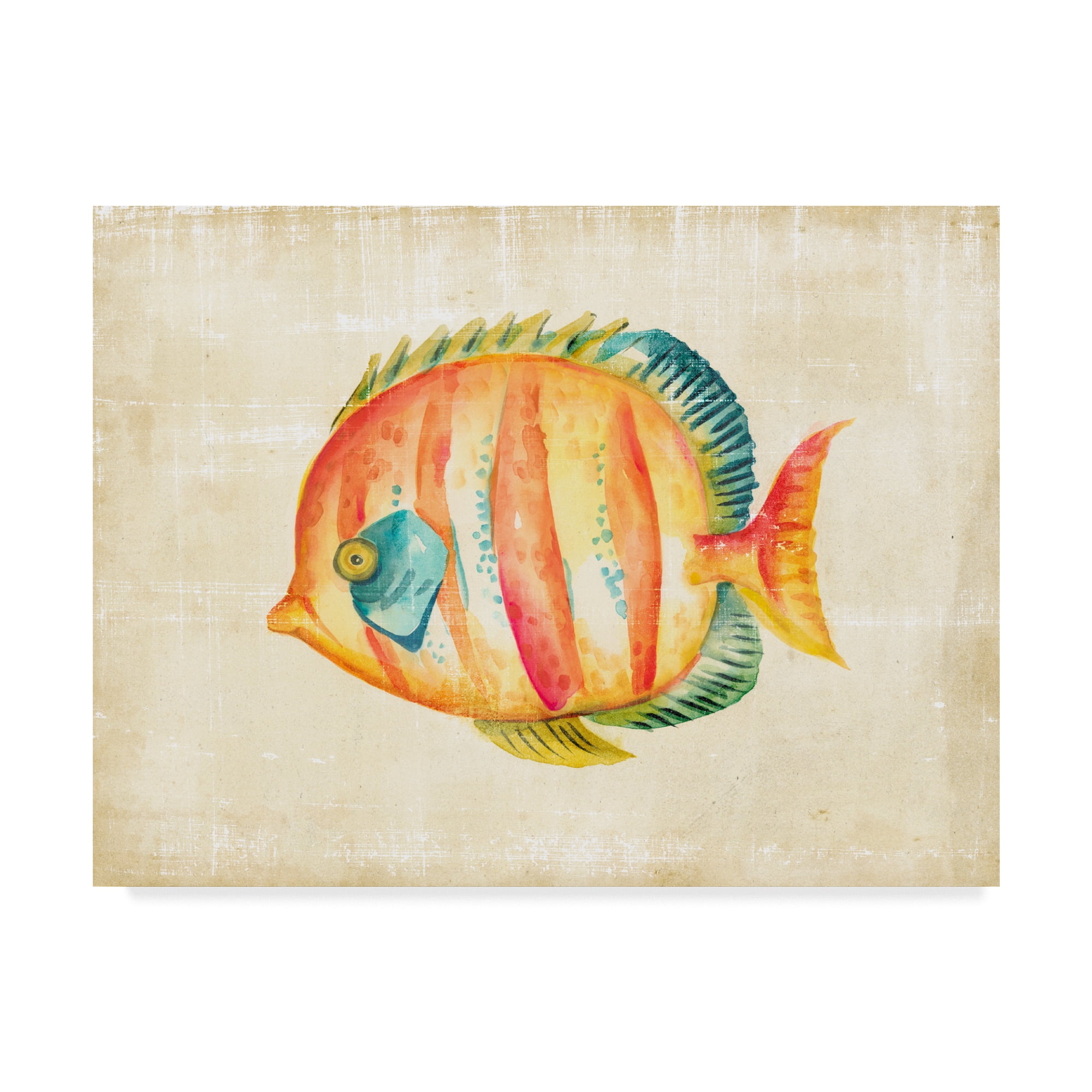 Trademark Fine Art 'Aquarium Fish II' Canvas Art by Chariklia Zarris