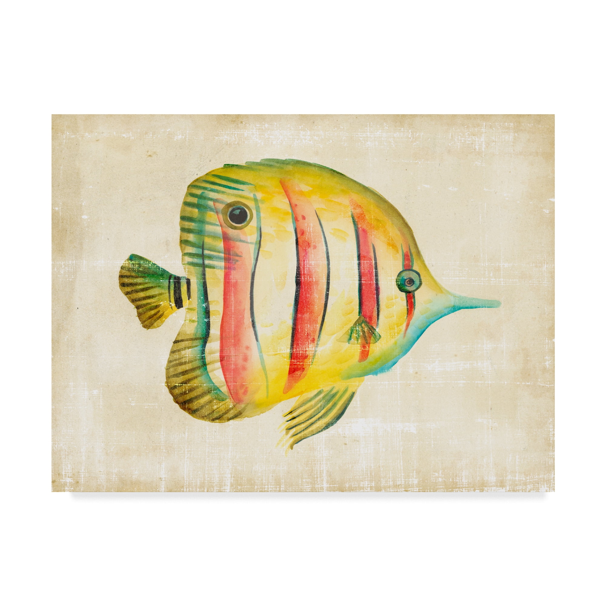 Trademark Fine Art 'Aquarium Fish III' Canvas Art by Chariklia Zarris