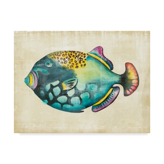 Trademark Fine Art 'Aquarium Fish IV' Canvas Art by Chariklia Zarris