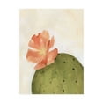 thumbnail image 1 of Trademark Fine Art 'Arid Bloom I' Canvas Art by Emma Scarvey, 1 of 4