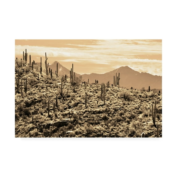Trademark Fine Art 'Arizona Mountains' Canvas Art by Mitch Catanzaro