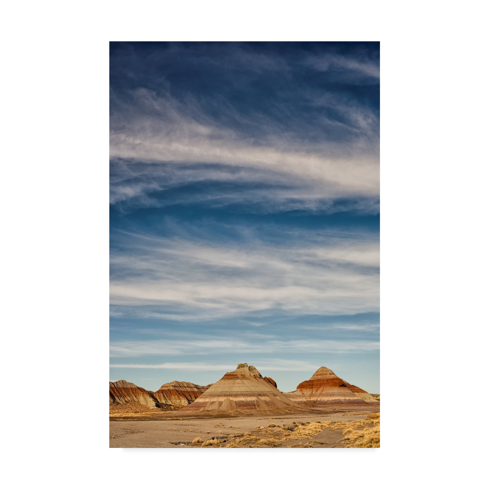 Trademark Fine Art 'Arizona Painted Sky I' Canvas Art by Janice Sullivan
