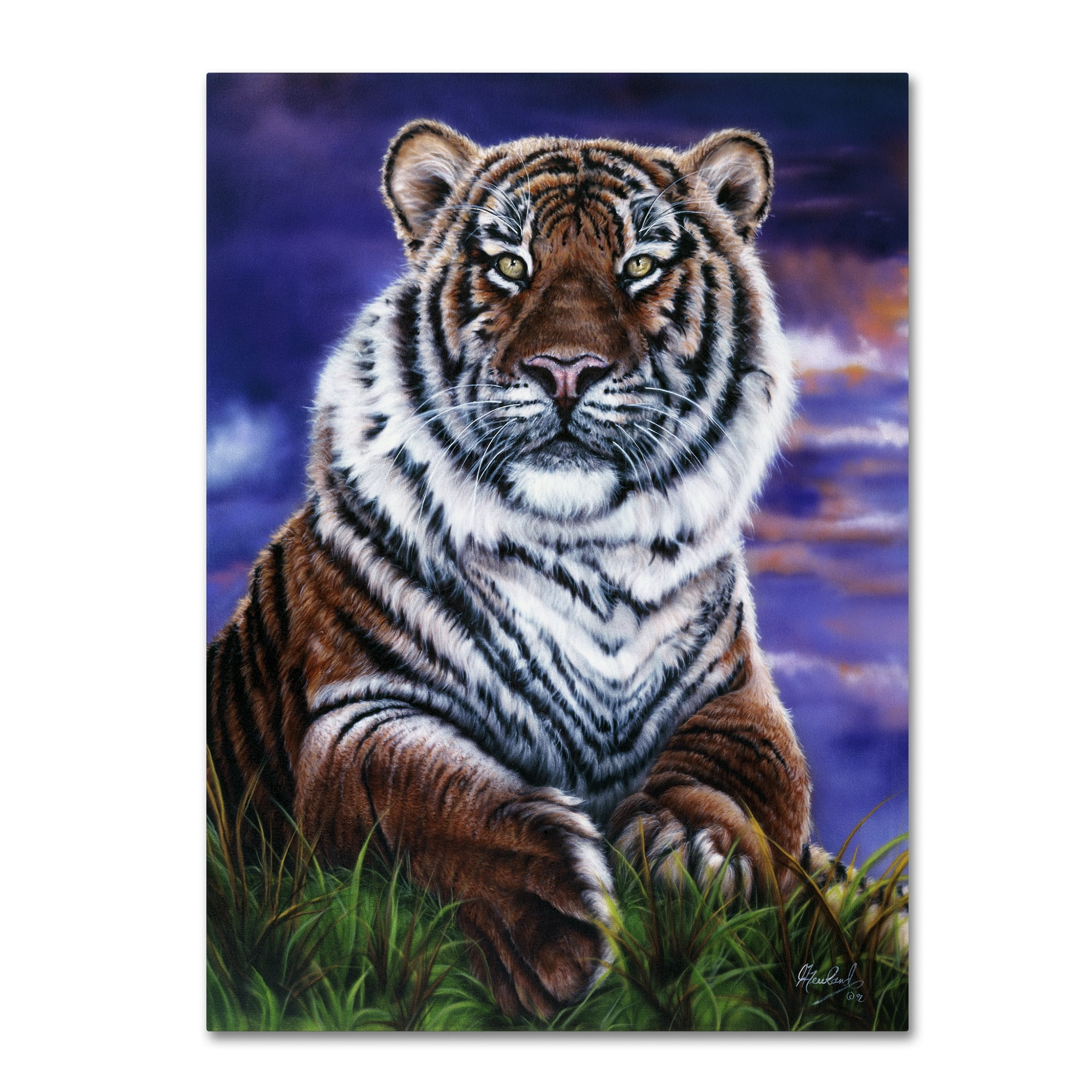 Trademark Fine Art 'Arizona Tiger' Canvas Art by Jenny Newland