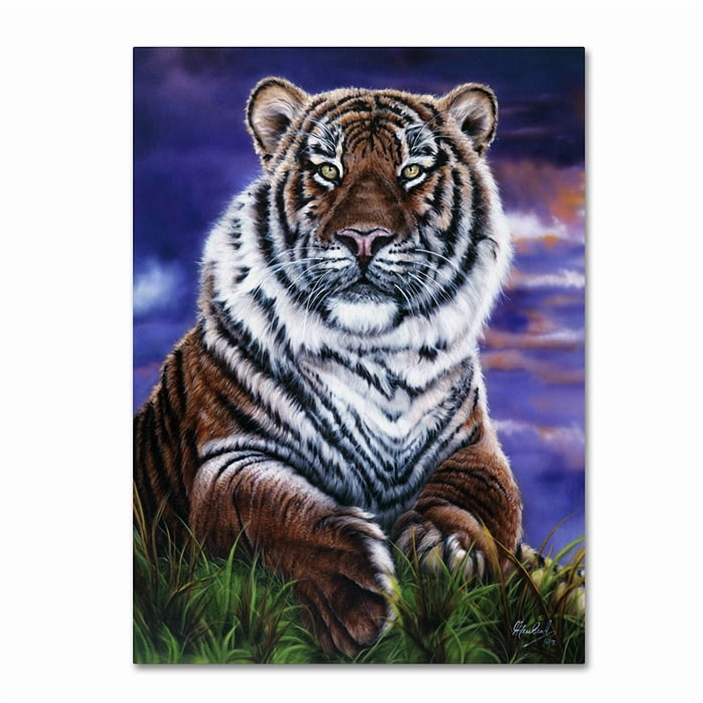 Trademark Fine Art 'Arizona Tiger' Canvas Art by Jenny Newland