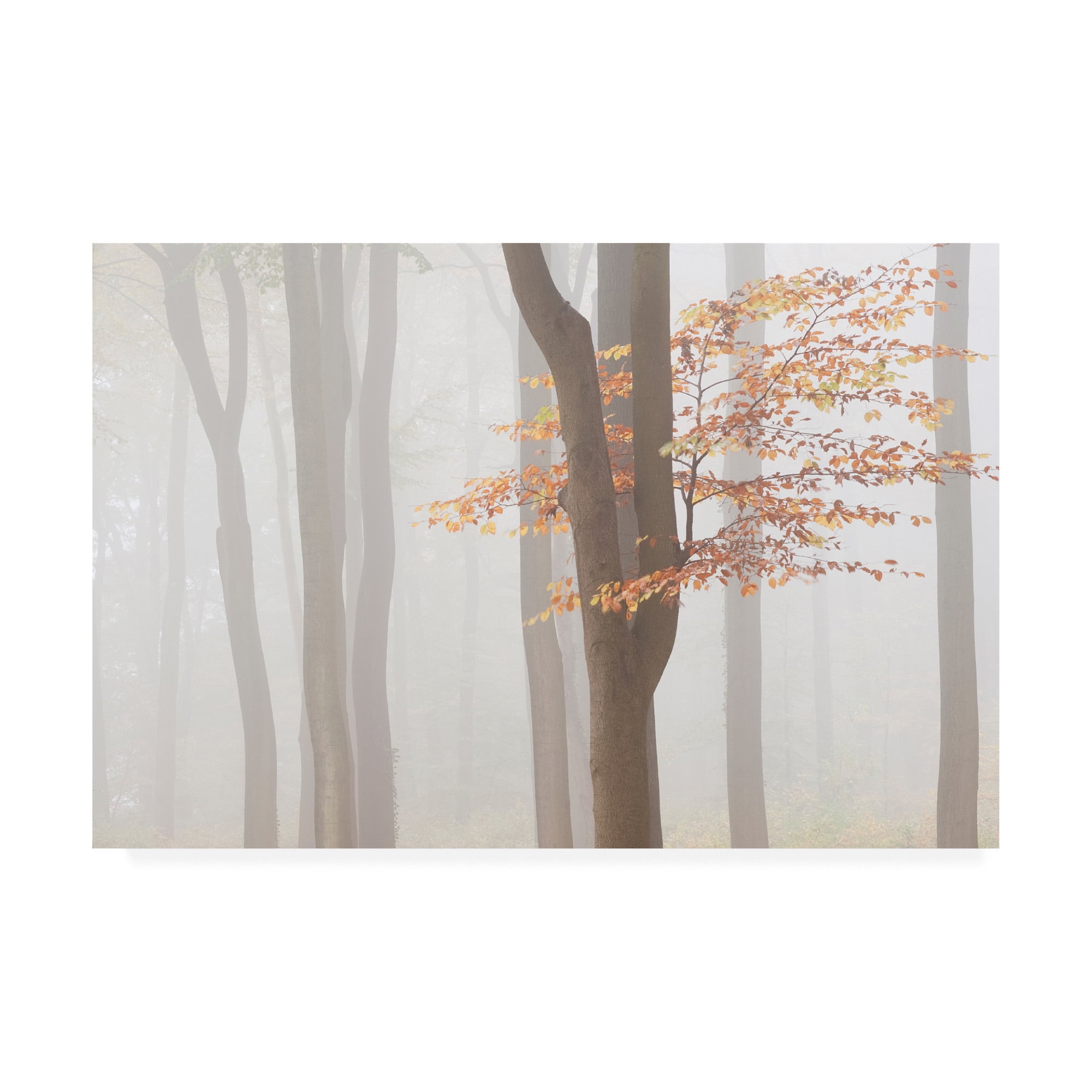 Trademark Fine Art 'Arnhem Park Zypendaal' Canvas Art by Wilco Drag