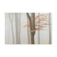 thumbnail image 1 of Trademark Fine Art 'Arnhem Park Zypendaal' Canvas Art by Wilco Drag, 1 of 3