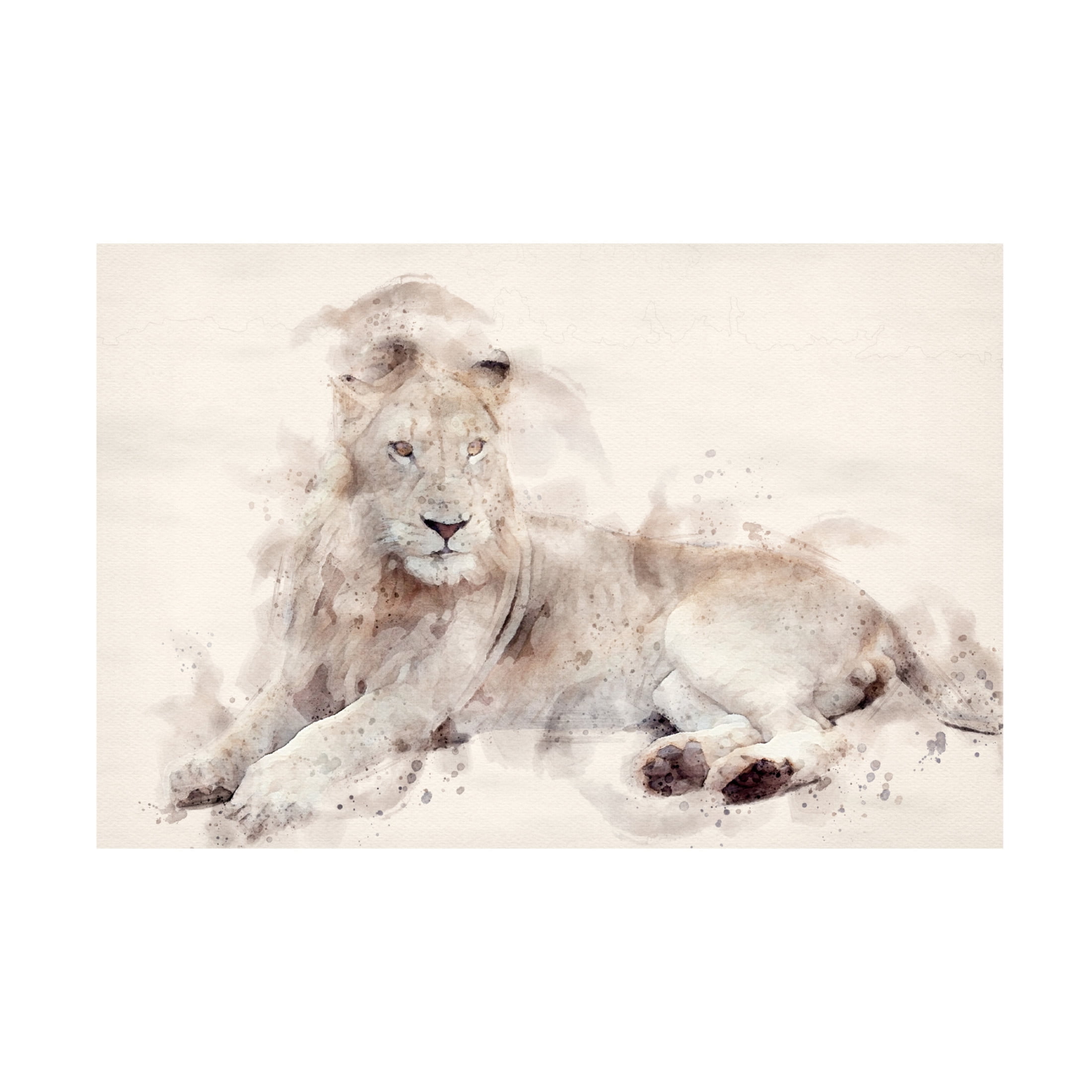 Trademark Fine Art Arno Du Toit Abstract African Lion Watercolor Art Canvas Wall Art