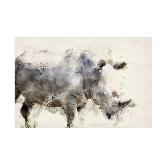 Trademark Fine Art Arno Du Toit Abstract African Rhinoceros Watercolor Art Canvas Wall Art
