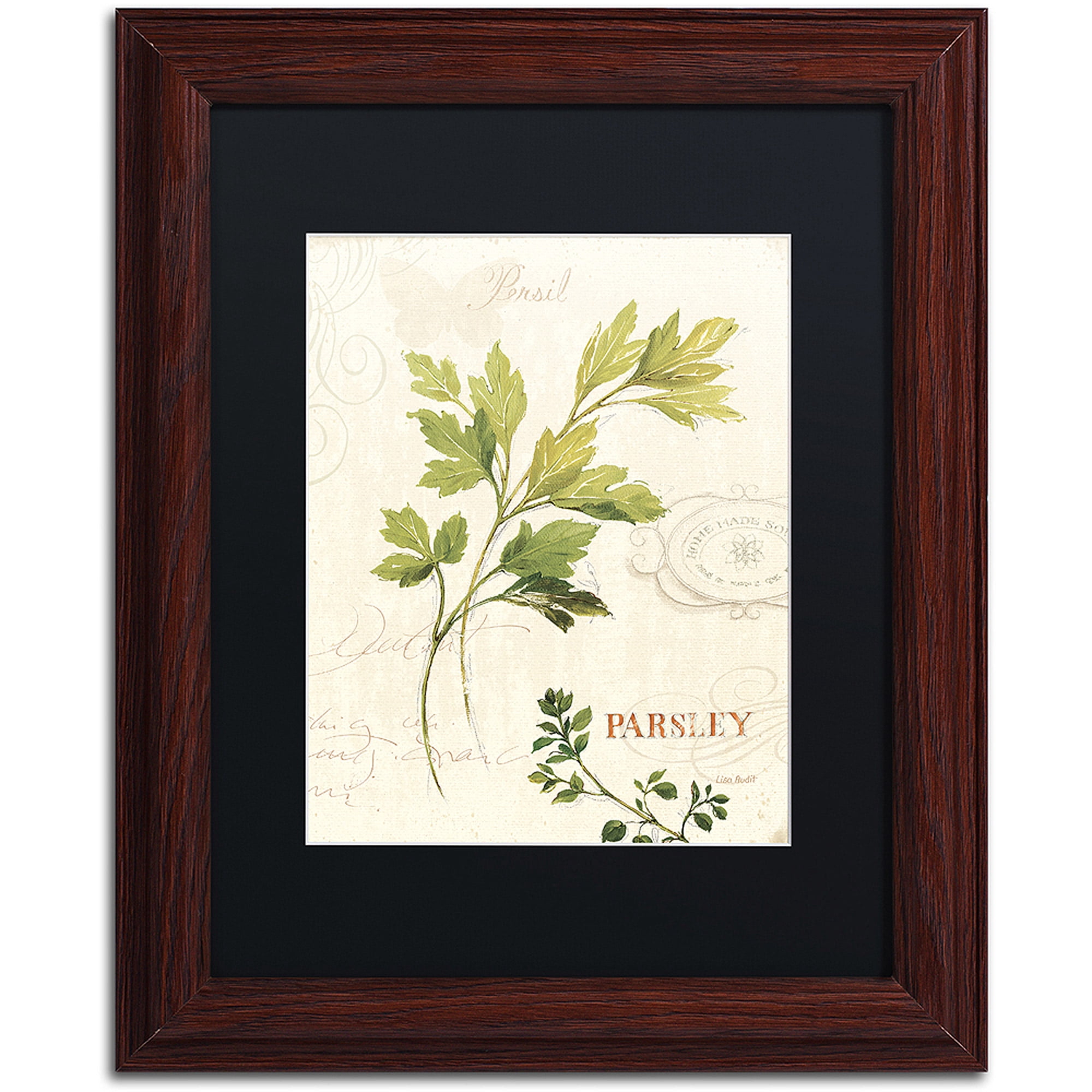 Trademark Fine Art "Aromantique I" Canvas Art by Lisa Audit, Black Matte, Wood Frame