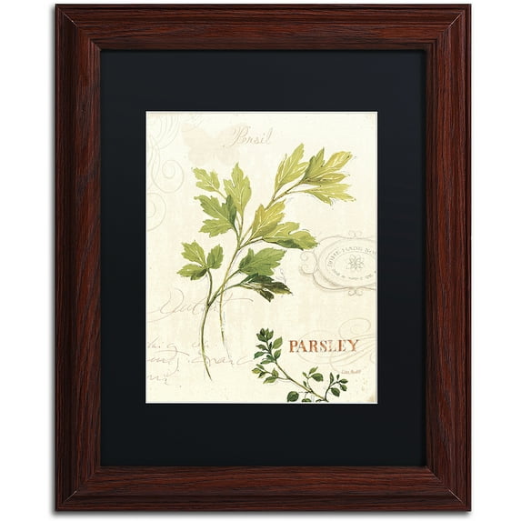 Trademark Fine Art "Aromantique I" Canvas Art by Lisa Audit, Black Matte, Wood Frame