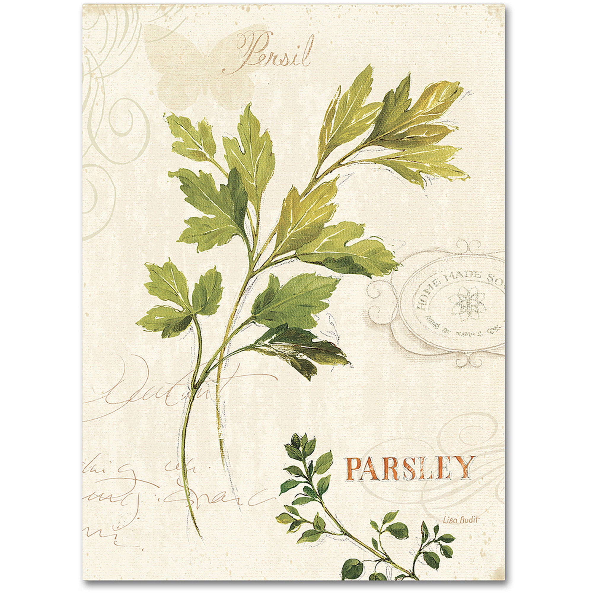 Aromantique I Framed Floral Canvas Art in Green and Beige