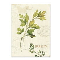 Trademark Fine Art "Aromantique I" Canvas Art by Lisa Audit