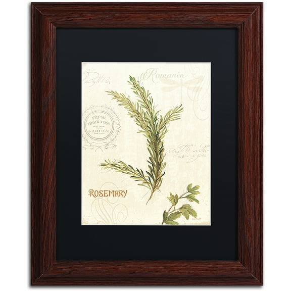 Trademark Fine Art "Aromantique II" Canvas Art by Lisa Audit, Black Matte, Wood Frame