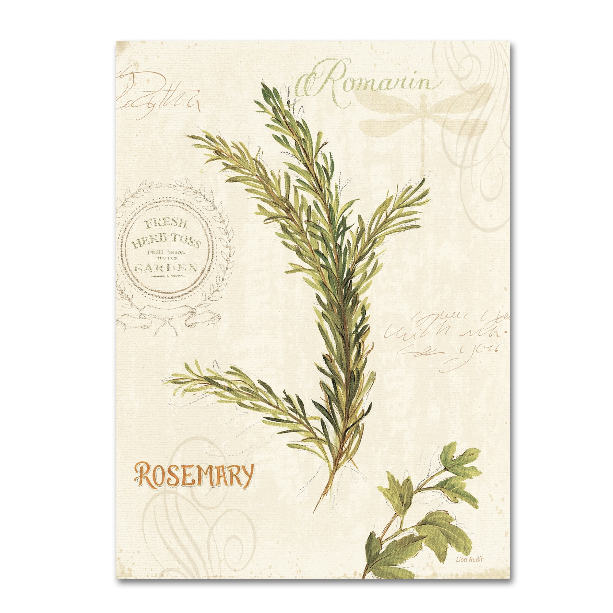 Trademark Fine Art "Aromantique II" Canvas Art by Lisa Audit