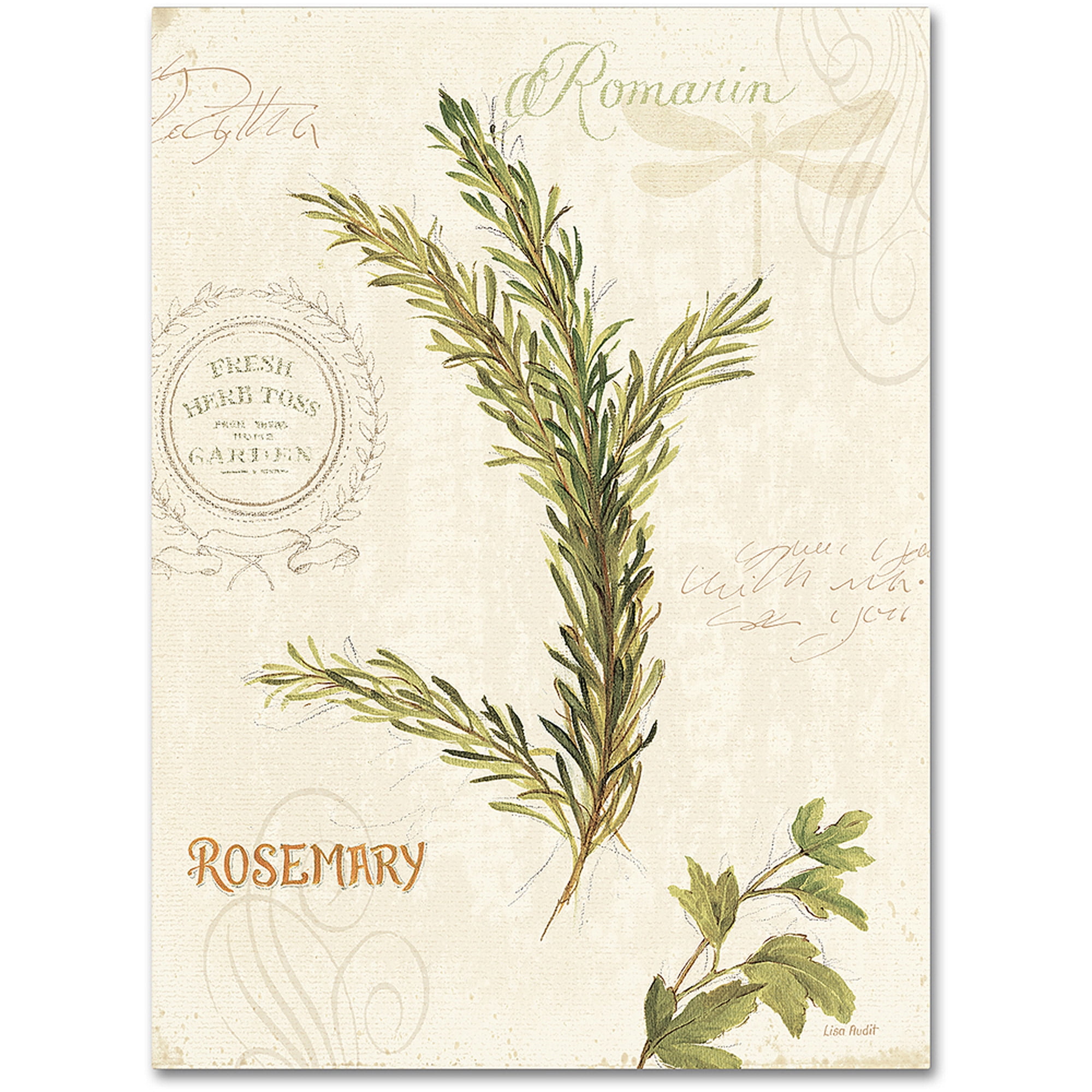 Trademark Fine Art "Aromantique II" Canvas Art by Lisa Audit