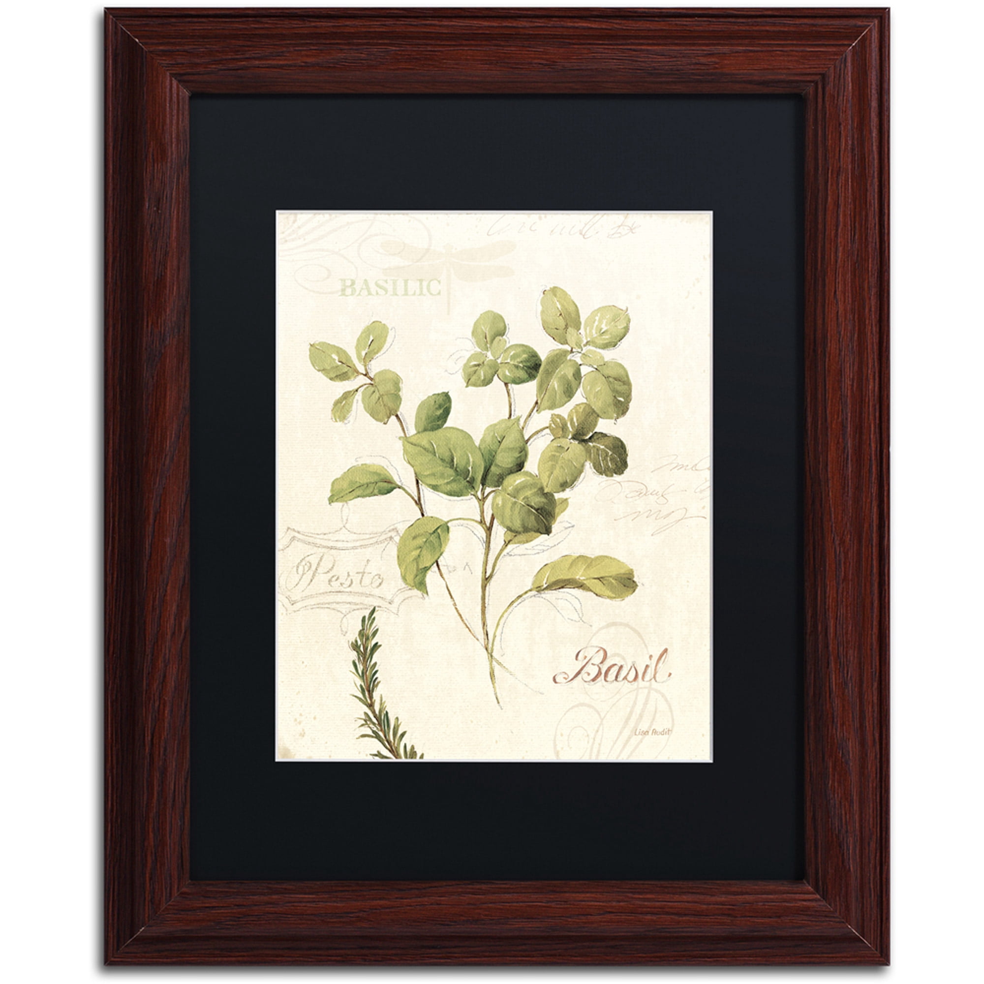Trademark Fine Art "Aromantique III" Canvas Art by Lisa Audit, Black Matte, Wood Frame
