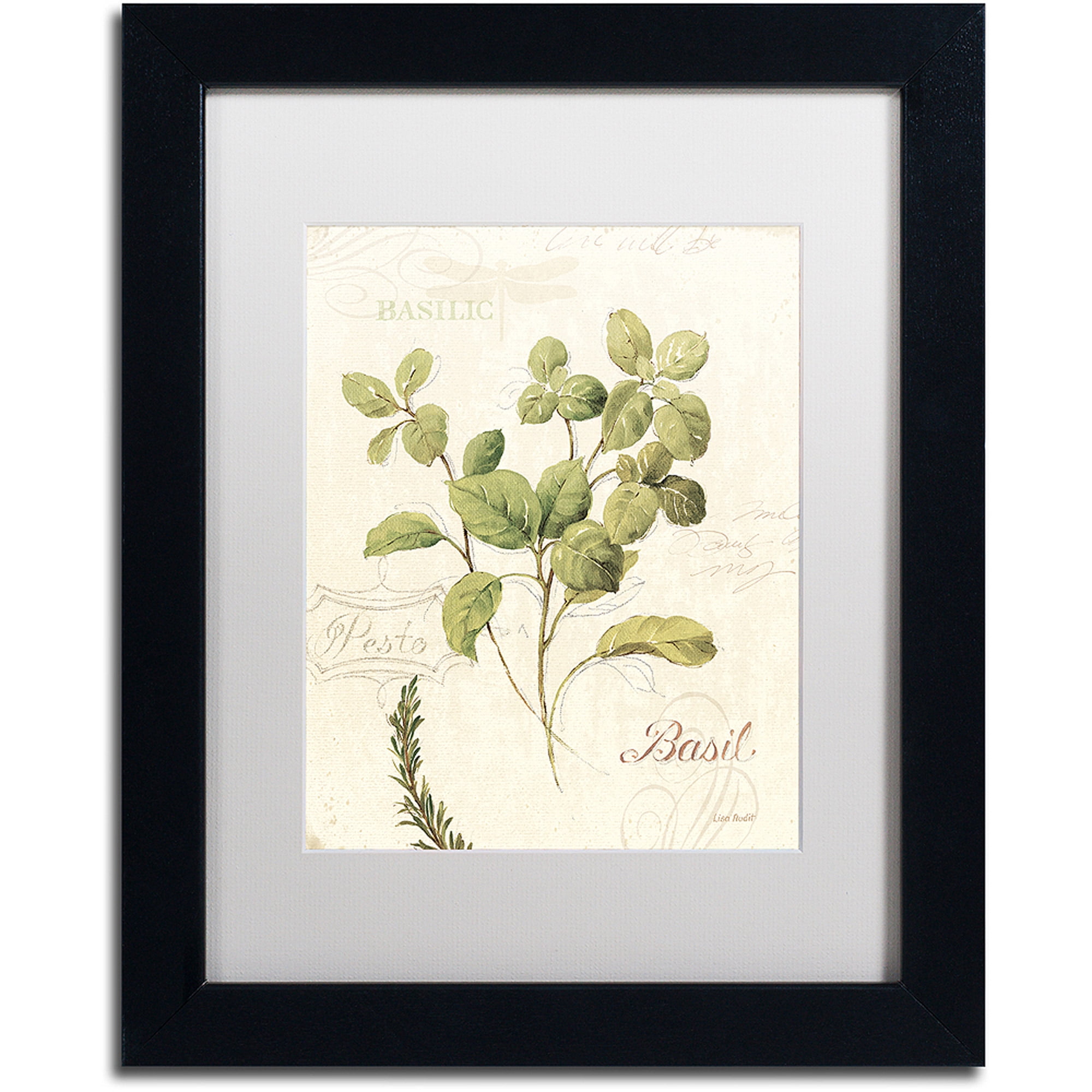 Basil Graphic Art on Canvas with Black Wood Frame