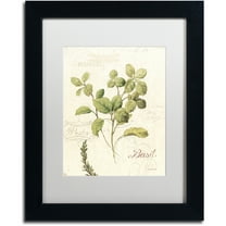 Trademark Fine Art "Aromantique III" Canvas Art by Lisa Audit, White Matte, Black Frame