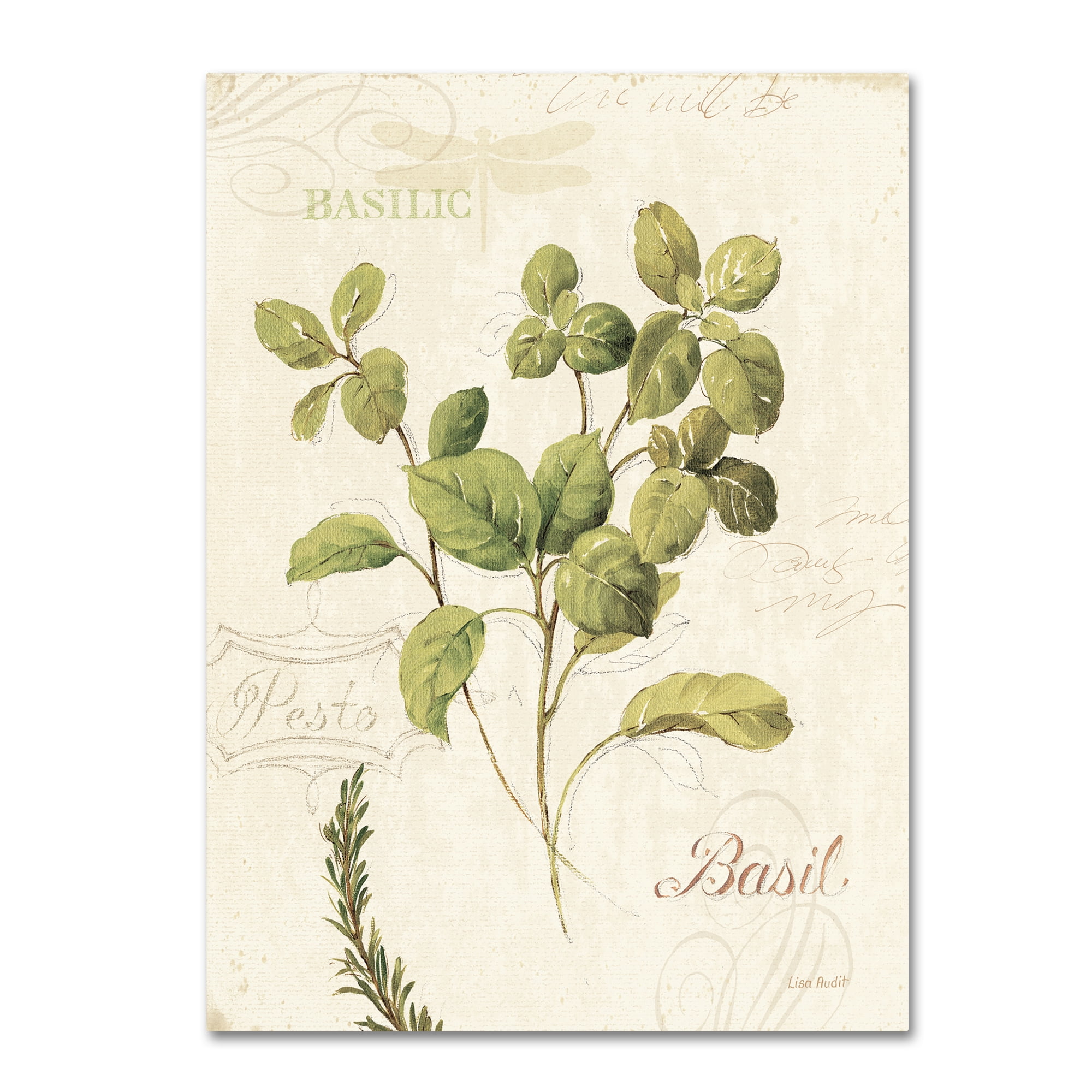 Trademark Fine Art "Aromantique III" Canvas Art by Lisa Audit