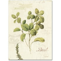 Trademark Fine Art "Aromantique III" Canvas Art by Lisa Audit