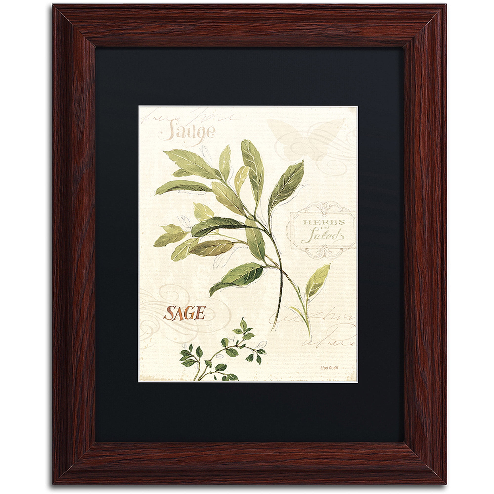 Trademark Fine Art "Aromantique IV" Canvas Art by Lisa Audit, Black Matte, Wood Frame