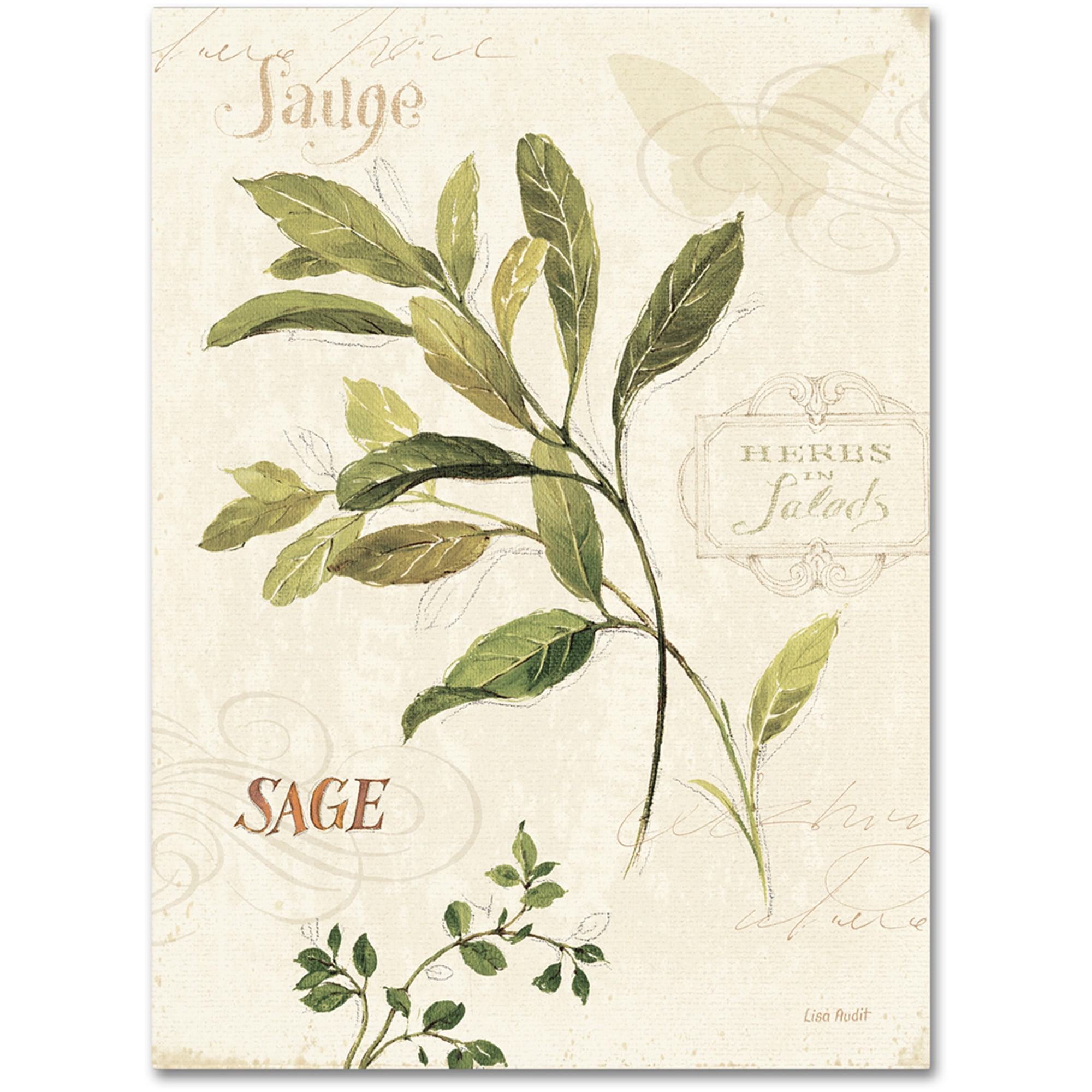 Trademark Fine Art "Aromantique IV" Canvas Art by Lisa Audit