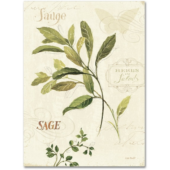 Trademark Fine Art "Aromantique IV" Canvas Art by Lisa Audit