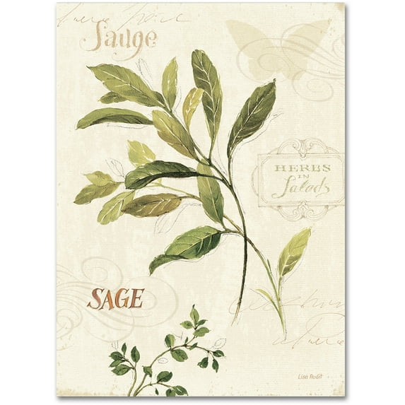 Trademark Fine Art "Aromantique IV" Canvas Art by Lisa Audit