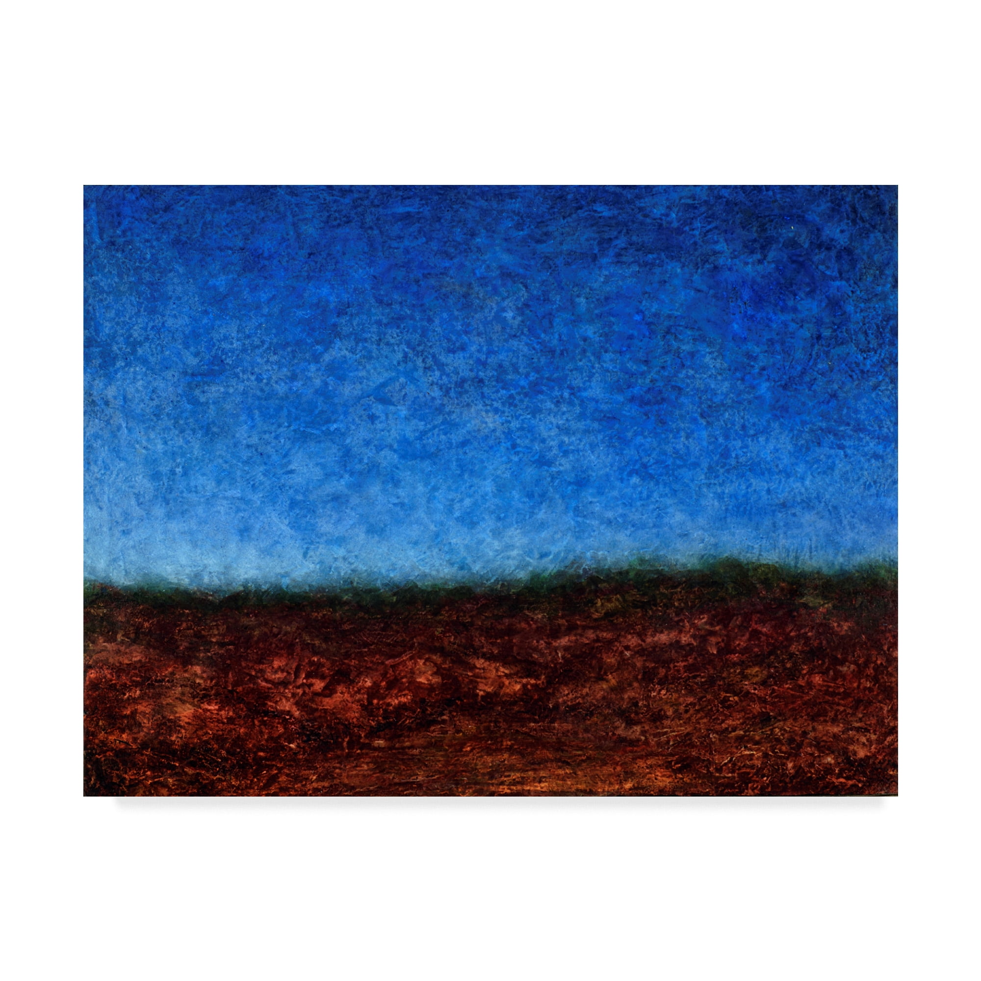 Trademark Fine Art 'Arroyo Rojo' Canvas Art by James W. Johnson