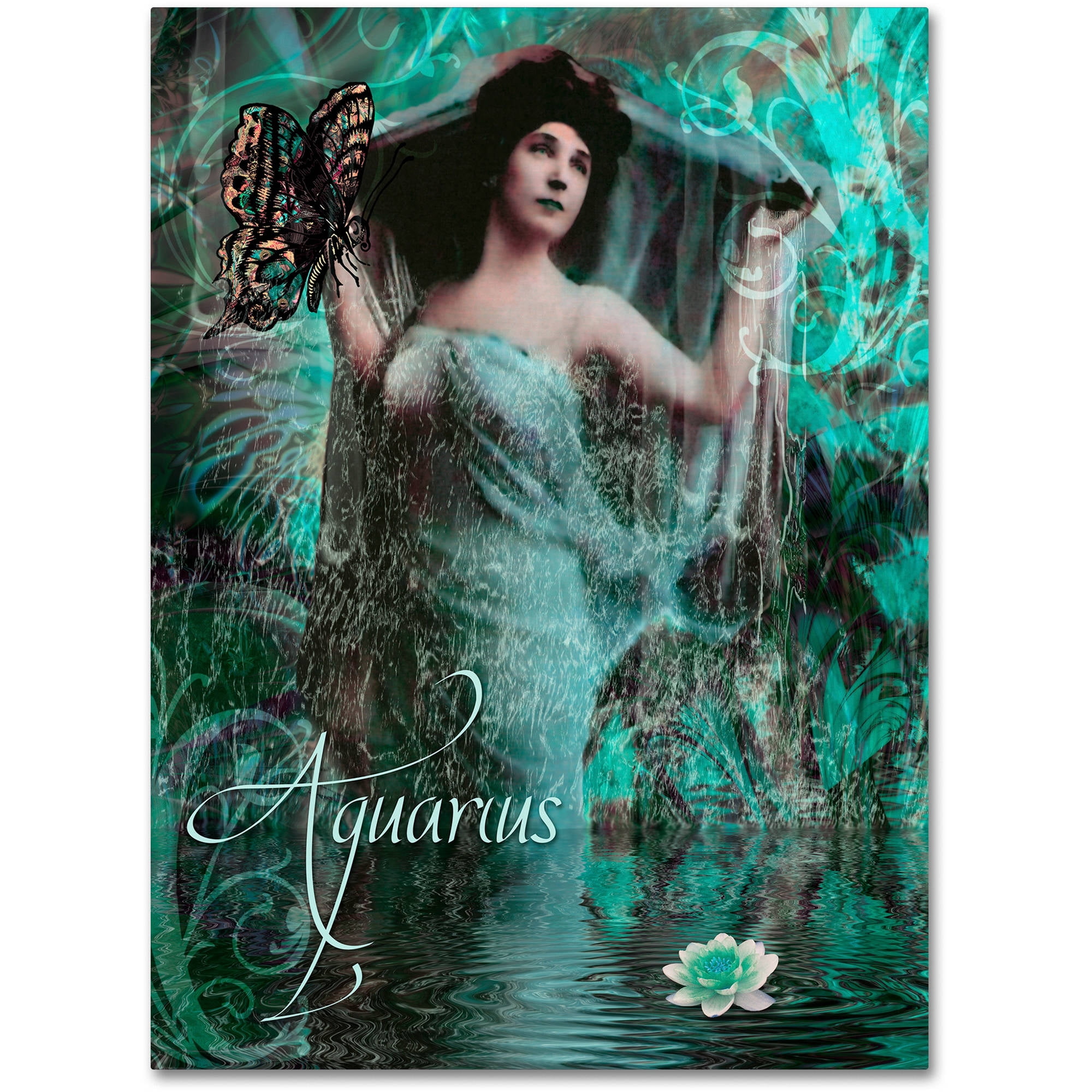 Trademark Fine Art "Art Nouveau Zodiac Aquarius" Canvas Art by Color Bakery