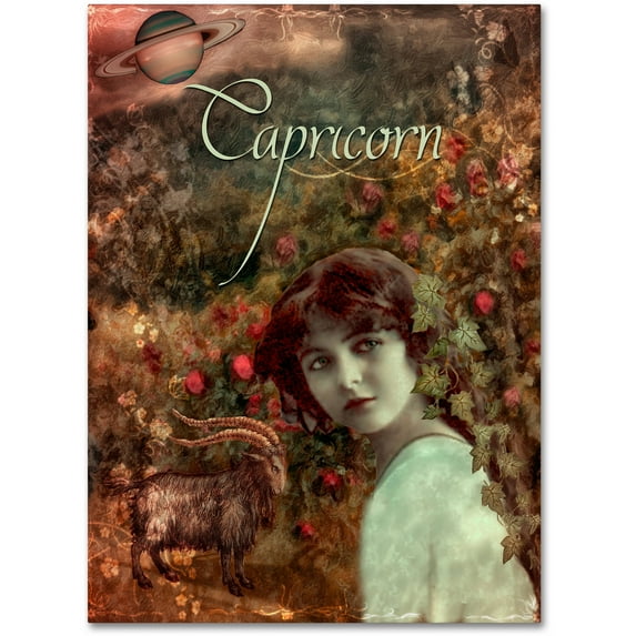 Trademark Fine Art "Art Nouveau Zodiac Capricorn" Canvas Art by Color Bakery