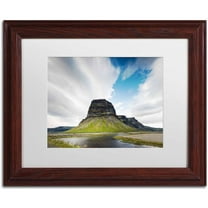 Trademark Fine Art 'Art of Nature' Canvas Art by Philippe Sainte-Laudy, White Matte, Wood Frame