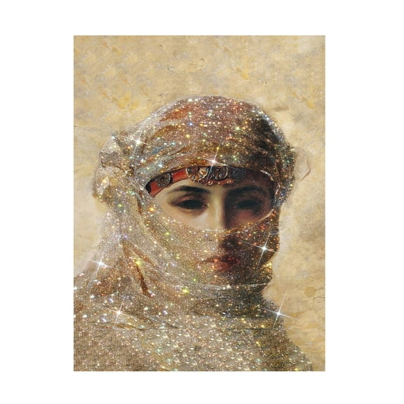 Trademark Fine Art Artelele Glittered Beauty Canvas Wall Art
