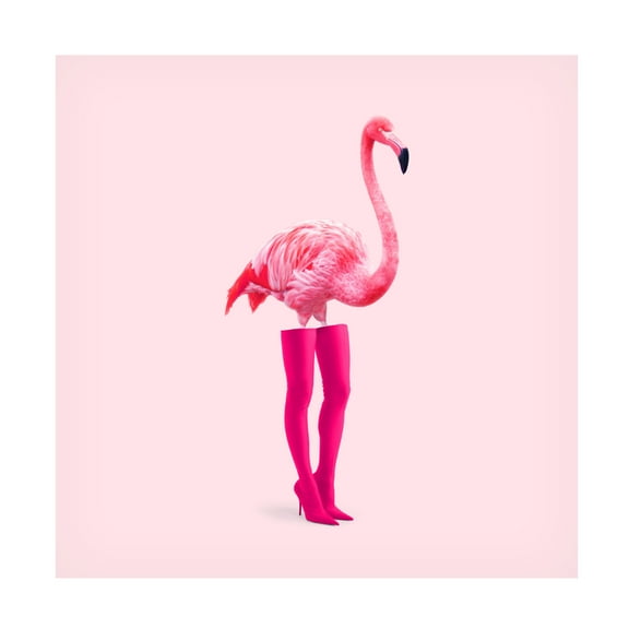 Trademark Fine Art Artem Pozdniakov  Flaminciaga Canvas Wall Art