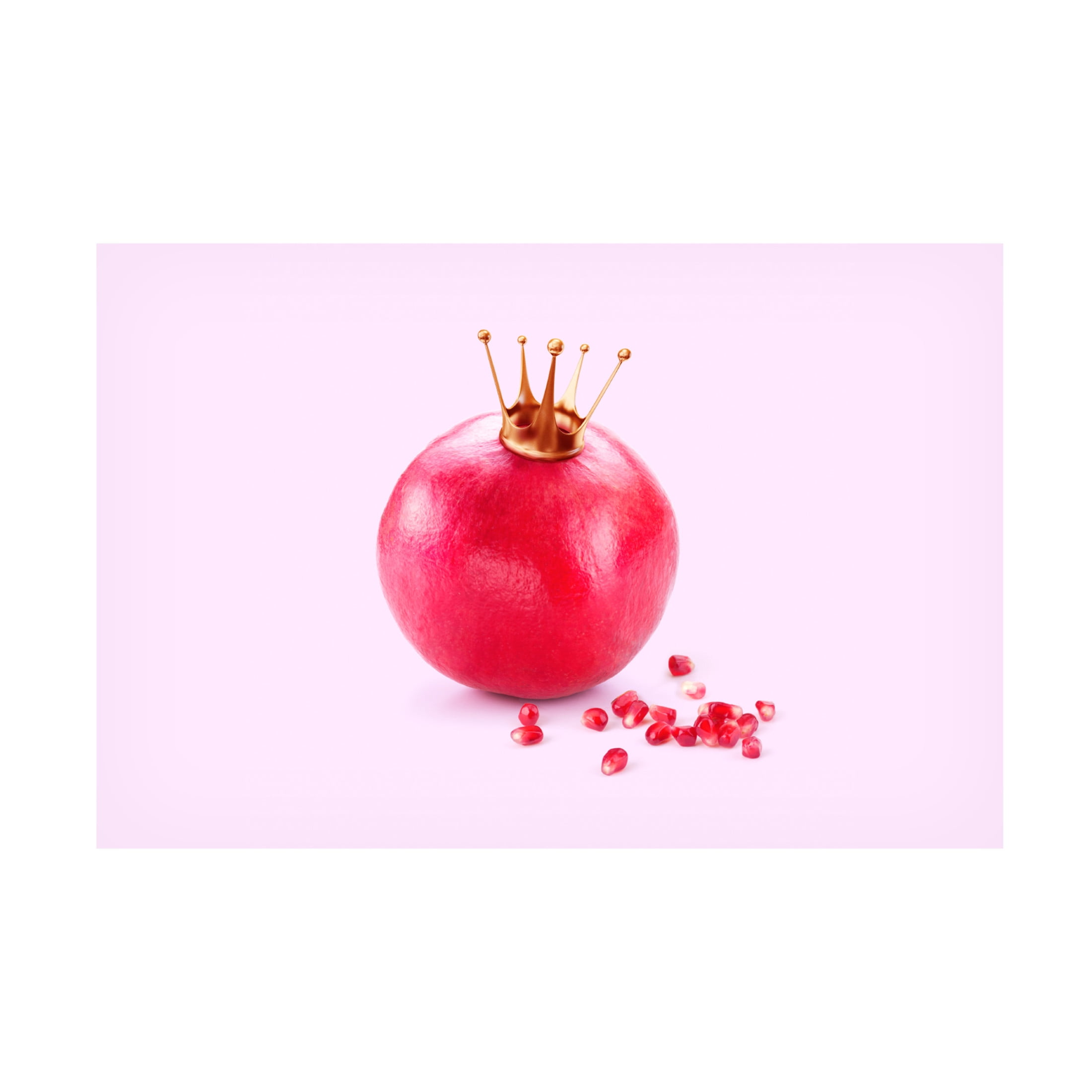 Trademark Fine Art Artem Pozdniakov  Pomegranate King Canvas Wall Art