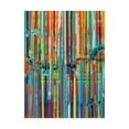 thumbnail image 1 of Trademark Fine Art 'Articulated View No. 5' Canvas Art by Adam Collier Noe, 1 of 3