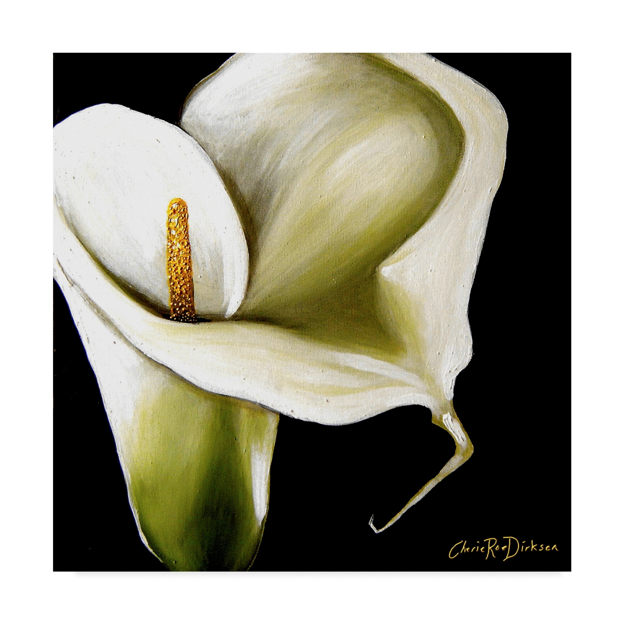 Trademark Fine Art 'Arum Lily' Canvas Art by Cherie Roe Dirksen