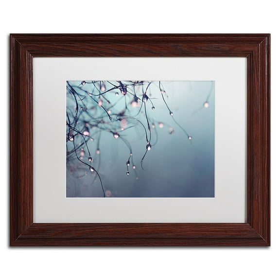 Trademark Fine Art "As Time Goes By" Canvas Art by Beata Czyzowska Young, White Matte, Wood Frame