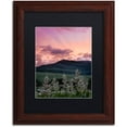 thumbnail image 1 of Trademark Fine Art "Ascend" Canvas Art by Michael Blanchette Photography Black Matte, Wood Frame, 1 of 1
