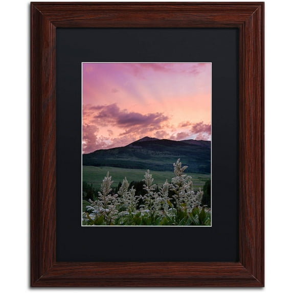 Trademark Fine Art "Ascend" Canvas Art by Michael Blanchette Photography Black Matte, Wood Frame
