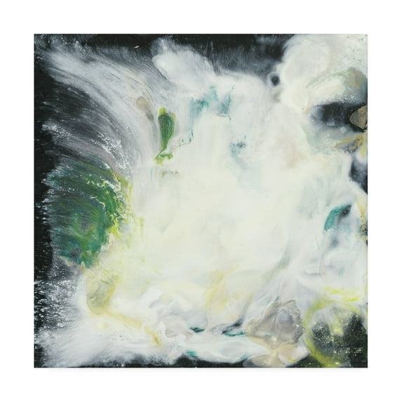 Trademark Fine Art 'Ascension Abstract I' Canvas Art by Lila Bramma