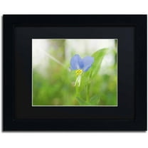 Trademark Fine Art 'Asiatic Dayflower' Canvas Art by PIPA Fine Art, Black Matte, Black Frame