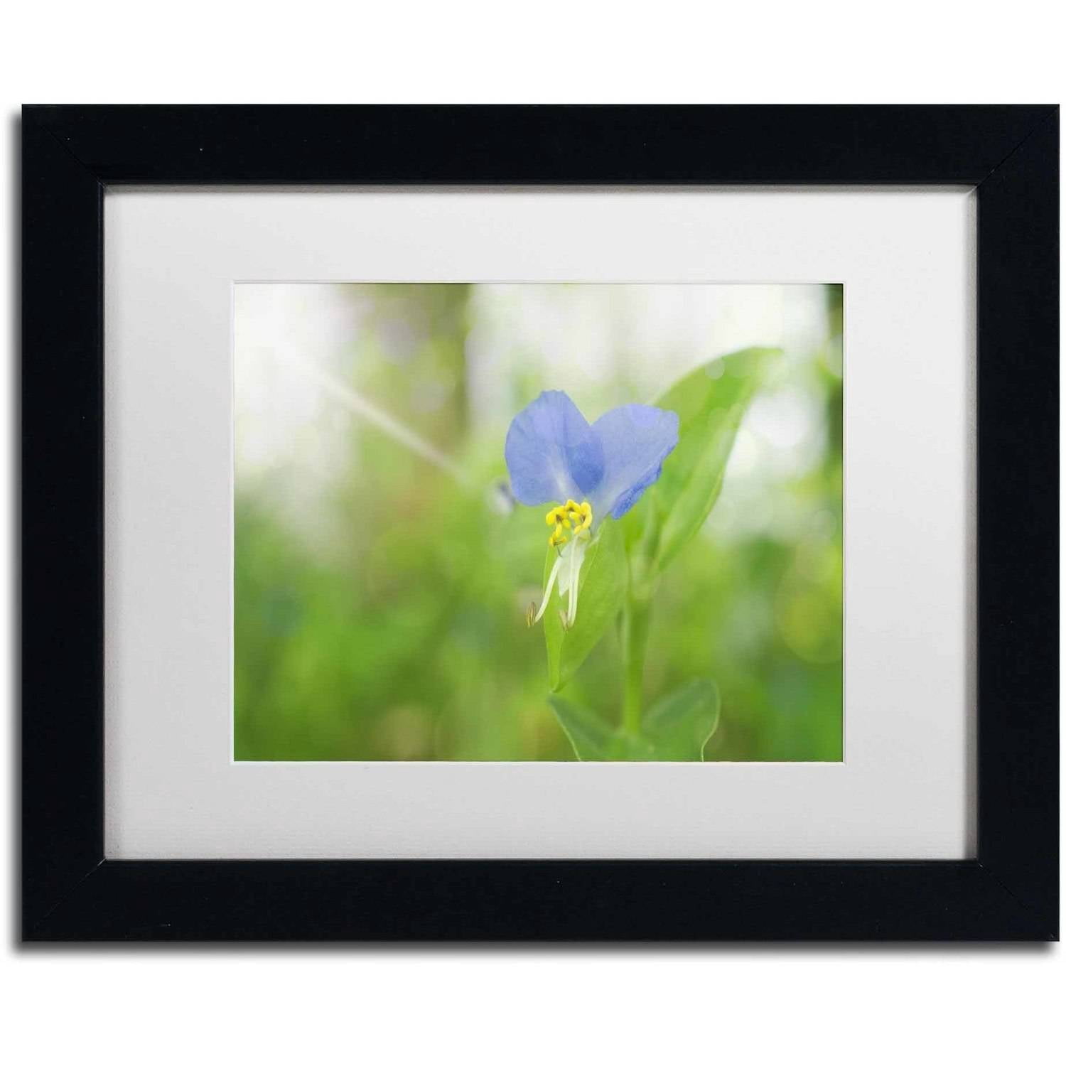 Trademark Fine Art 'Asiatic Dayflower' Canvas Art by PIPA Fine Art, White Matte, Black Frame