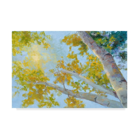 Trademark Fine Art 'Aspen Canopy' Canvas Art by Nanette Oleson