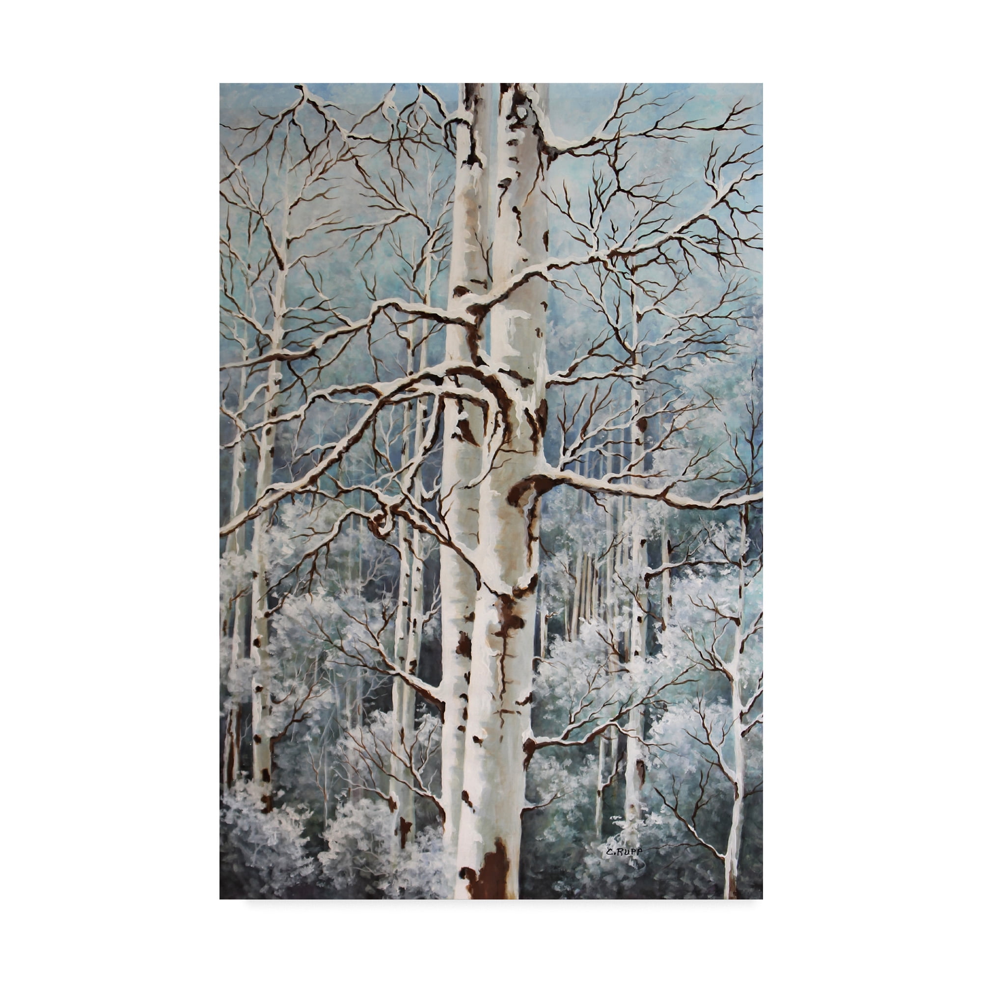 Trademark Fine Art 'Aspen Duo Winter' Canvas Art by Carol J Rupp