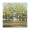 thumbnail image 1 of Trademark Fine Art 'Aspen Grove I' Canvas Art by Julia Purinton, 1 of 3