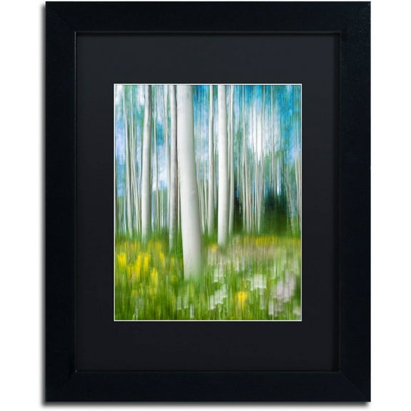 Trademark Fine Art "Aspen Impression" Canvas Art by Michael Blanchette Photography Black Matte, Black Frame